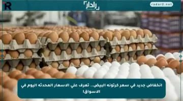 انخفاض جديد في سعر كرتونة البيض.. تعرف على الأسعار المحدثة اليوم في الأسواق!